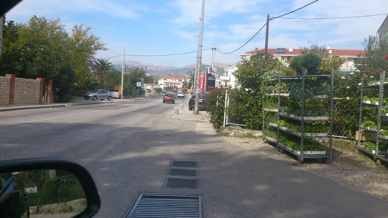 dsc 0115