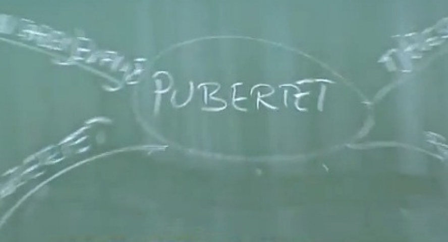 Mijenja se spolni odgoj u školama: Gradivo se mora temeljiti na znanstvenim činjenicama, a ne religijskim svjetonazorima