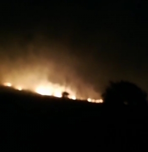 Video - Gori šuma na granici Podstrane i Krila Jesenica